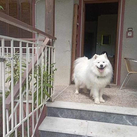 Α Lovely Home For A Summer Vacation Asproválta Ngoại thất bức ảnh