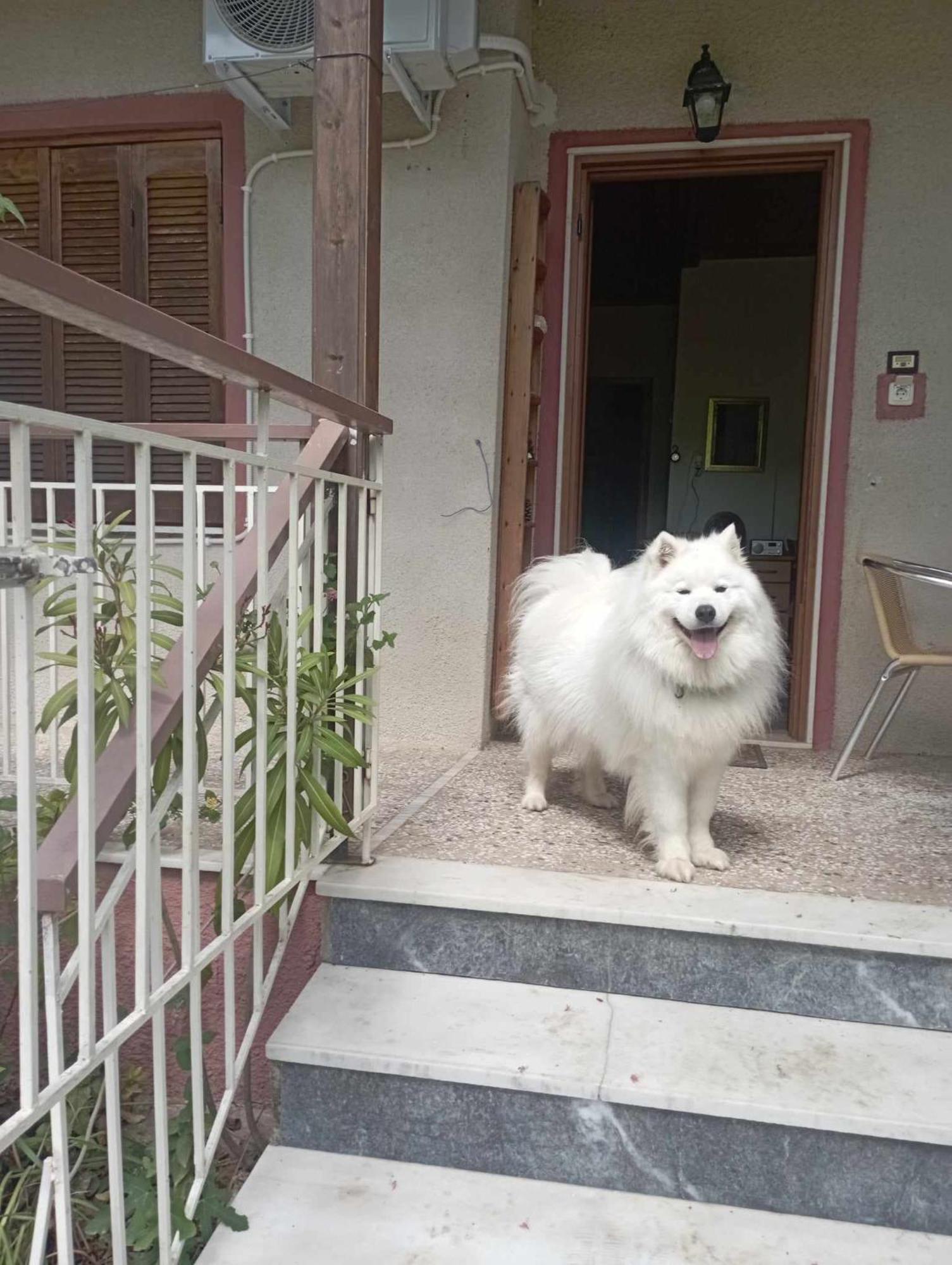 Α Lovely Home For A Summer Vacation Asproválta Ngoại thất bức ảnh